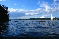 Blue sky, blue water