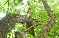 Girl playing a drum in a tree