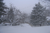 A blizzard in '06